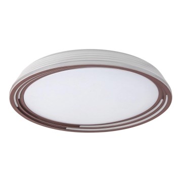 Rabalux - LED-himmennettävä kattovalaisin LED / 36W / 230V