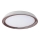 Rabalux - LED-himmennettävä kattovalaisin LED / 36W / 230V