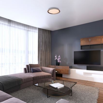 Rabalux - LED-himmennettävä kattovalaisin LED / 36W / 230V