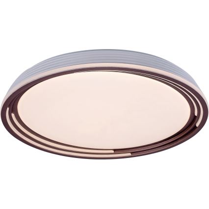 Rabalux - LED-himmennettävä kattovalaisin LED / 36W / 230V