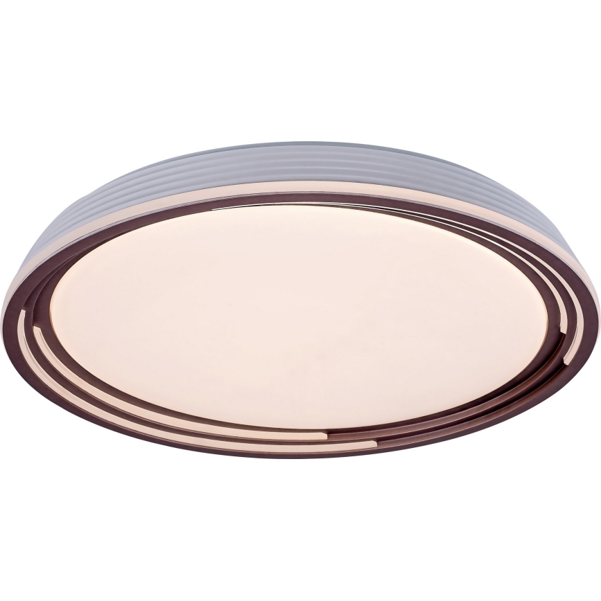 Rabalux - LED-himmennettävä kattovalaisin LED / 36W / 230V