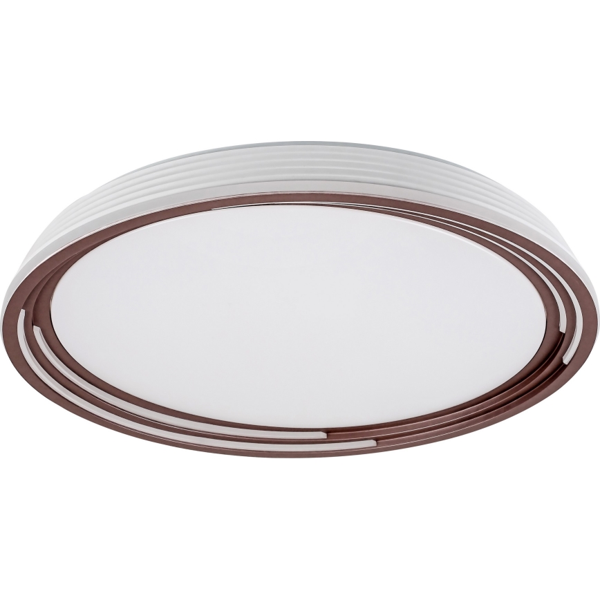 Rabalux - LED-himmennettävä kattovalaisin LED / 36W / 230V