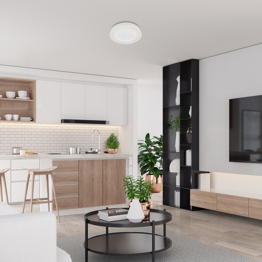 Rabalux - LED-himmennettävä kattovalaisin LED / 38W / 230V valkoinen + RC 3000-6500K