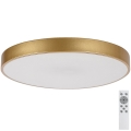 Rabalux - LED himmennettävä kattovalaisin LED/60W/230V 3000-6000K + kaukosäädin