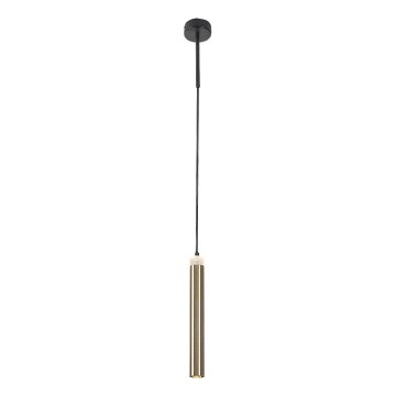 Rabalux - LED-kattokruunu johdossa LED/10W/230V 4000K musta/kulta