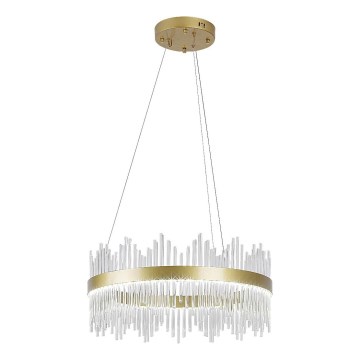 Rabalux - LED-kattokruunu johdossa LED/36W/230V 3000/4000/6000K kulta