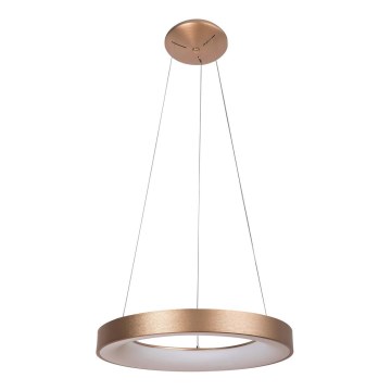 Rabalux - LED-kattokruunu narussa CARMELLA LED/50W/230V