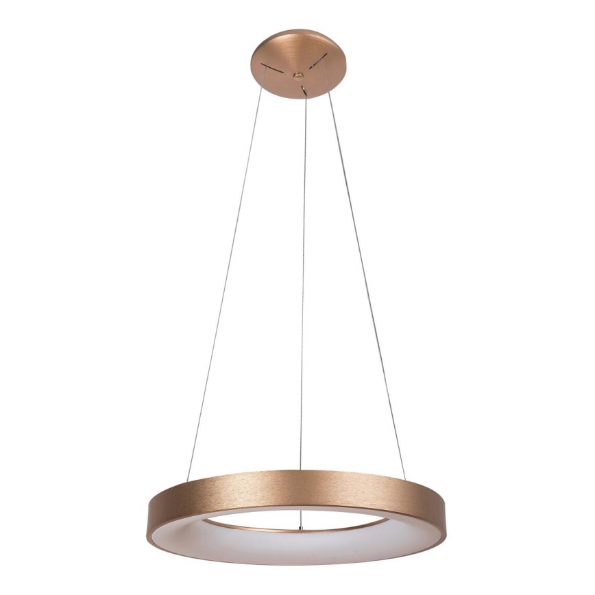 Rabalux - LED-kattokruunu narussa CARMELLA LED/50W/230V
