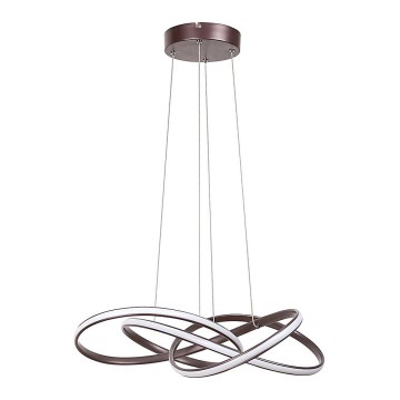 Rabalux - LED-kattokruunu narussa LED/40W/230V