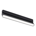 Rabalux - LED Kattovalaisin 1-vaihekiskoon LED/16W/230V 4000K 33 cm musta