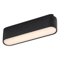 Rabalux - LED Kattovalaisin 1-vaihekiskoon LED/6W/230V 3000K 11,5 cm musta
