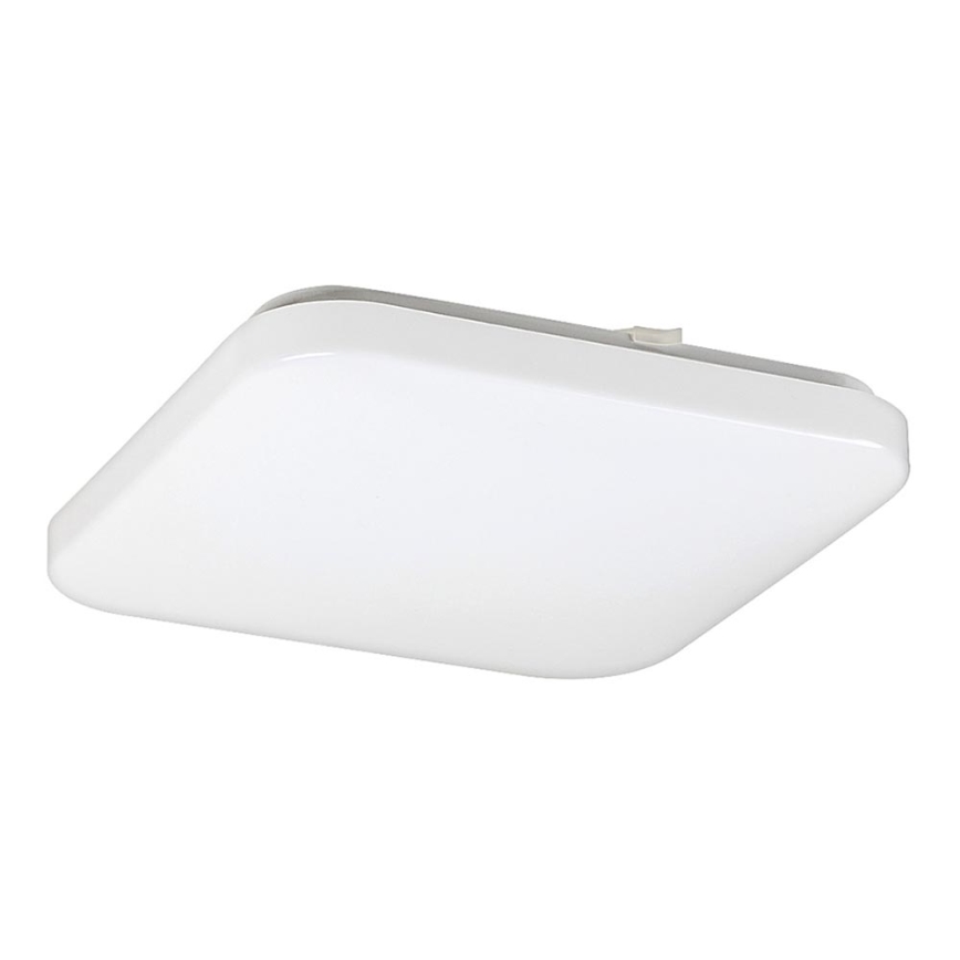 Rabalux - LED-kattovalaisin 1xLED/20W/230V