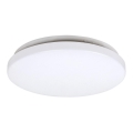 Rabalux - LED-kattovalaisin 1xLED/20W/230V