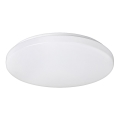 Rabalux - LED-kattovalaisin 1xLED/32W/230V