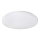 Rabalux - LED-kattovalaisin 1xLED/32W/230V
