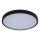 Rabalux - LED-kattovalaisin kylpyhuoneeseen LED/12W/230V 3000/4000/6000K IP44 halkaisija 25,5 cm musta