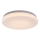 Rabalux - LED-kattovalaisin kylpyhuoneeseen LED/12W/230V 3000/4000/6000K IP44