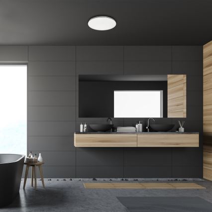 Rabalux - LED Kylpyhuoneen kattovalaisin LED/20W/230V IP44 pr. 29 cm