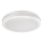 Rabalux - LED-kattovalaisin kylpyhuoneeseen LED/28W/230V 3000/4000/6500K IP54 valkoinen