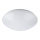 Rabalux - LED-kattovalaisin kylpyhuoneessa LED/12W/230V IP44