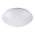 Rabalux - LED-kattovalaisin kylpyhuoneessa LED/24W/230V IP44