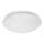 Rabalux - LED-kattovalaisin LED/12W/230V