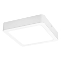 Rabalux - LED-kattovalaisin LED/15W/230V 4000K 16x16 cm valkoinen