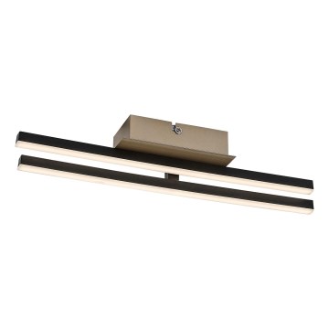 Rabalux - LED-kattovalaisin LED/16W/230V 4000K