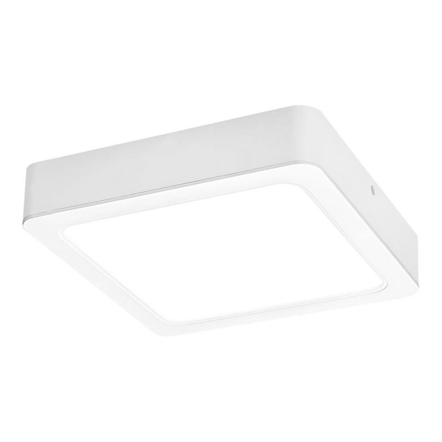 Rabalux - LED-kattovalaisin LED/18W/230V 17 cm