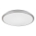 Rabalux - LED-kattovalaisin LED/18W/230V 4000K hopea 27 cm