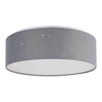 Rabalux - LED-kattovalaisin LED / 22W / 230V harmaa