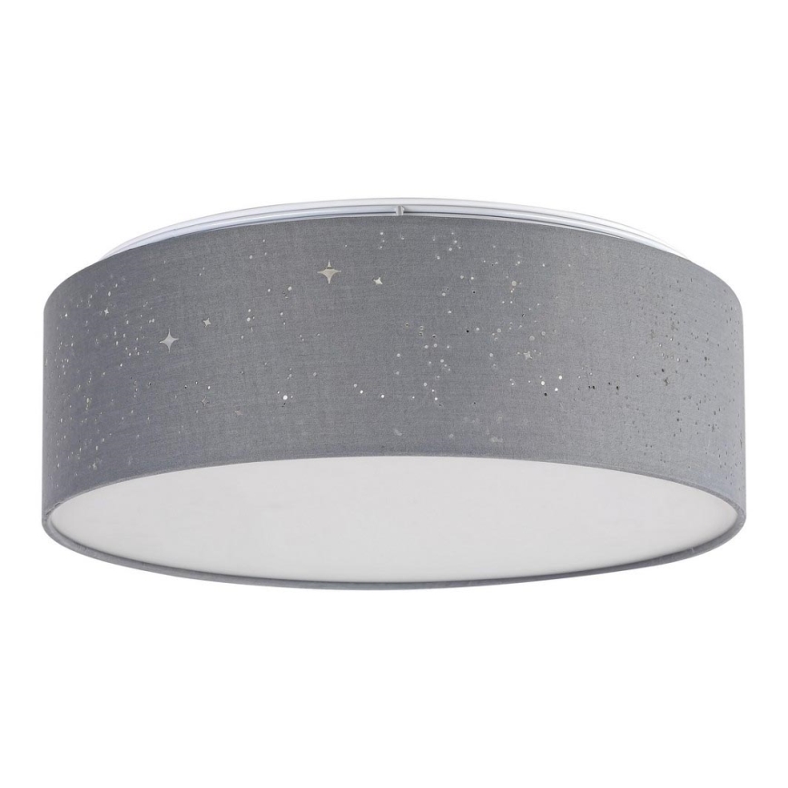 Rabalux - LED-kattovalaisin LED / 22W / 230V harmaa