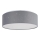 Rabalux - LED-kattovalaisin LED / 22W / 230V harmaa