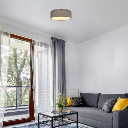 Rabalux - LED-kattovalaisin LED / 22W / 230V harmaa
