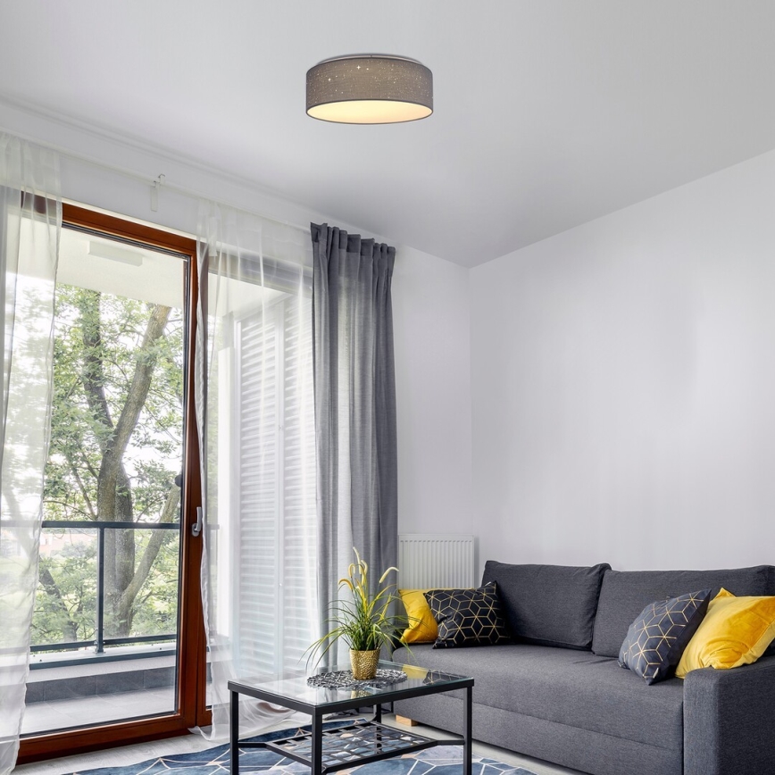 Rabalux - LED-kattovalaisin LED / 22W / 230V harmaa