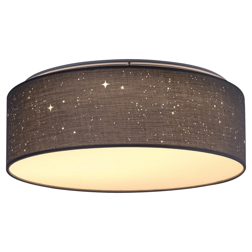 Rabalux - LED-kattovalaisin LED / 22W / 230V harmaa