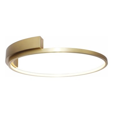 Rabalux - LED-kattovalaisin LED/23W/230V