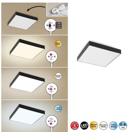 Rabalux - LED-kattovalaisin LED/24W/230V 3000-6000K IP44 musta