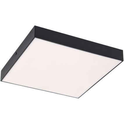 Rabalux - LED-kattovalaisin LED/24W/230V 3000-6000K IP44 musta