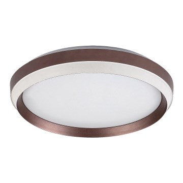 Rabalux - LED-kattovalaisin LED/24W/230V 3000K