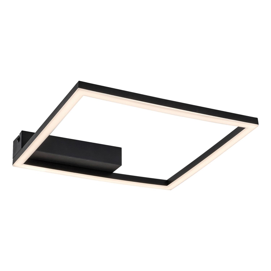 Rabalux - LED-kattovalaisin LED/24W/230V 3000K