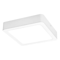 Rabalux - LED-kattovalaisin LED/24W/230V 4000K 22x22 cm valkoinen