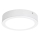 Rabalux - LED-kattovalaisin LED/24W/230V 4000K halkaisija 22 cm valkoinen