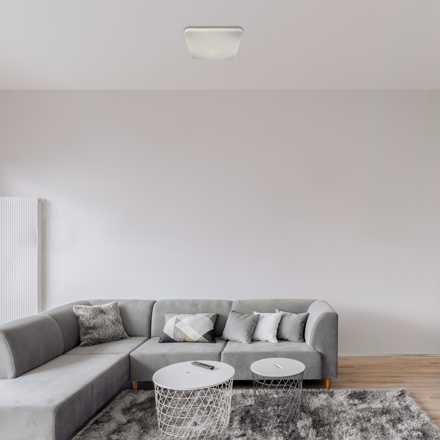 Rabalux - LED-kattovalaisin LED / 24W / 230V
