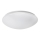Rabalux - LED-kattovalaisin LED/24W/230V