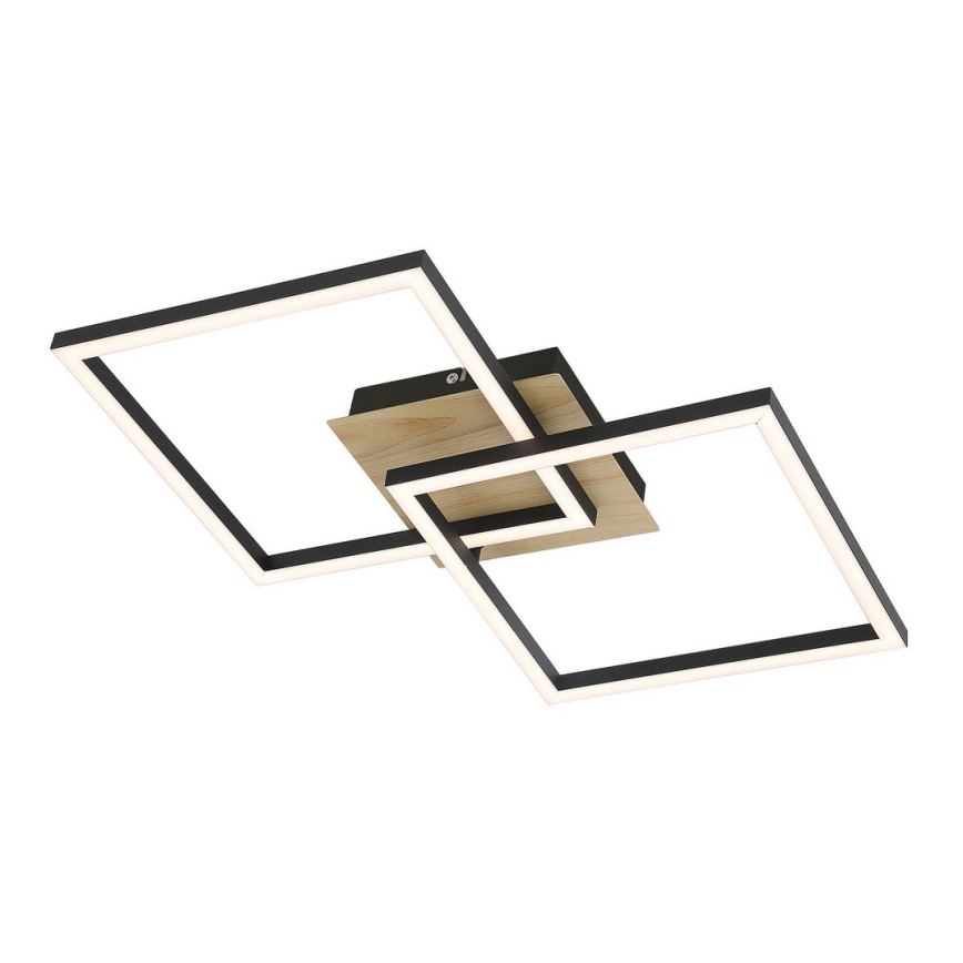 Rabalux - LED-kattovalaisin LED/24W/230V