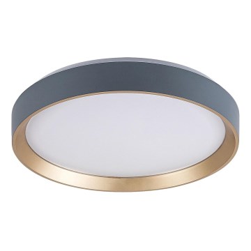 Rabalux - LED-kattovalaisin LED/25W/230V 3000K halkaisija 38 cm
