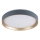 Rabalux - LED-kattovalaisin LED/25W/230V 3000K halkaisija 38 cm
