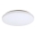 Rabalux - LED-kattovalaisin LED/32W/230V