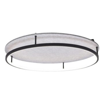 Rabalux - LED-kattovalaisin LED/40W/230V 3000/4000K